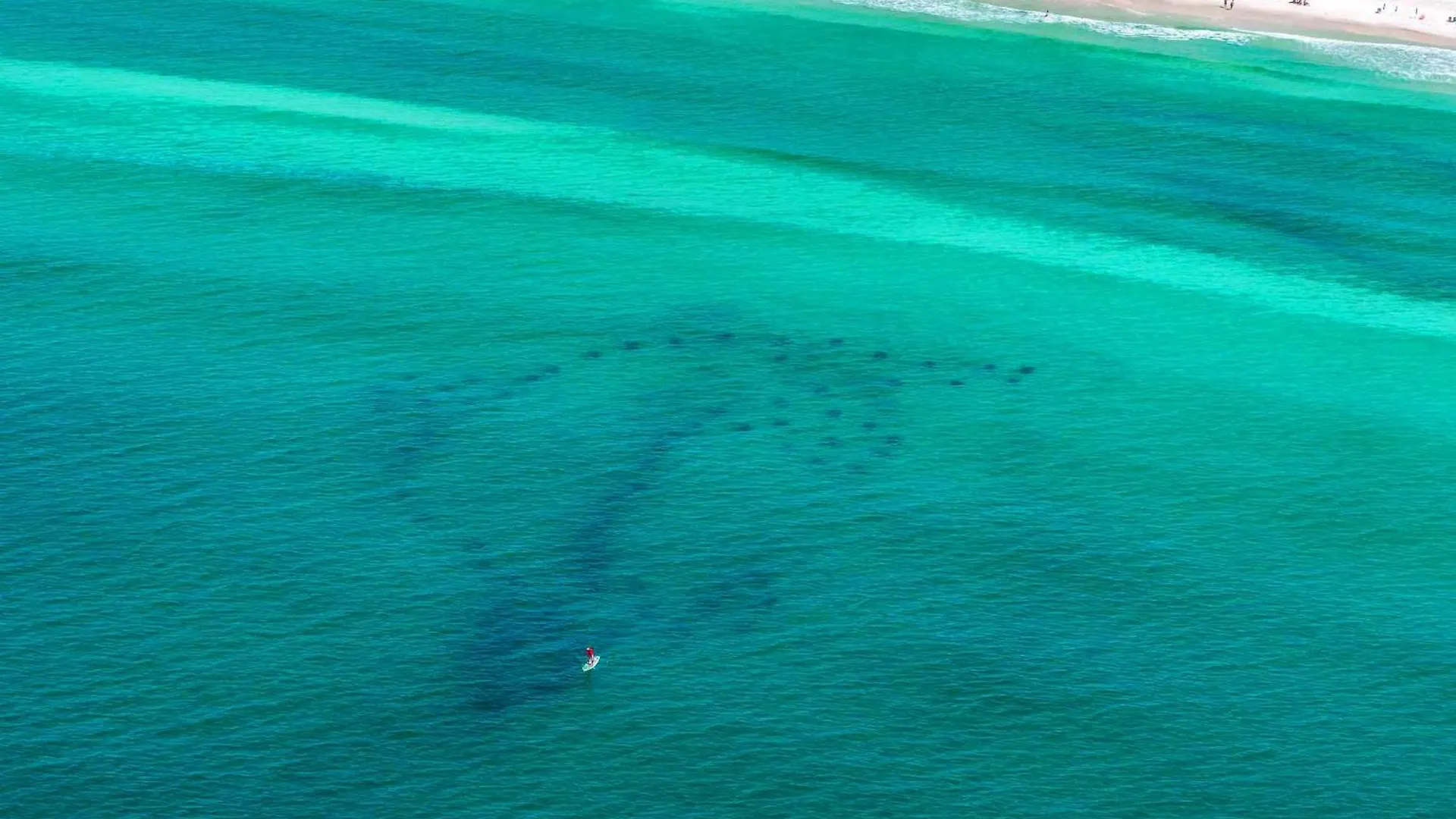 Ariel Dunes I 203 Destin